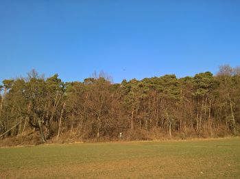 Excursión A pie Schaafheim - Parkplatzrundwanderweg Rosenhöhe 2 : Rosenhöhe-Weg - Photo