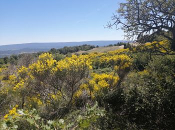 Tour Wandern Murs - murs - Photo