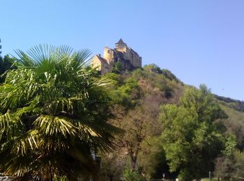 Tocht Stappen Castelnaud-la-Chapelle - Vézac 20,5km - Photo