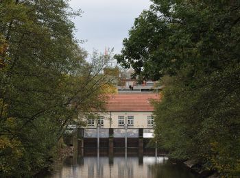 Trail On foot Bietigheim-Bissingen - 3B-Land - Photo