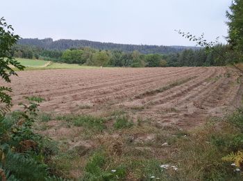 Trail Walking Jullianges - vallée de la dorette - Photo