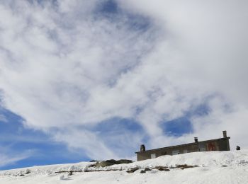 Tour Schneeschuhwandern Albiès - Plateau de Beille - Photo