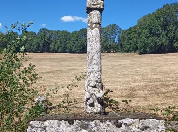 Randonnée Marche Curières - la croix du Pal - Photo