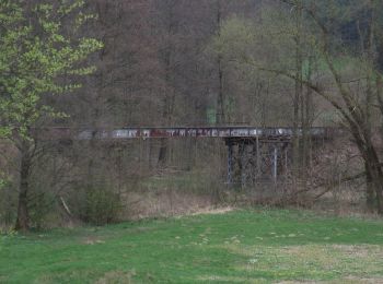 Randonnée A pied Weidenberg - Weidenberg Rundwanderweg Nr. 4 - Photo