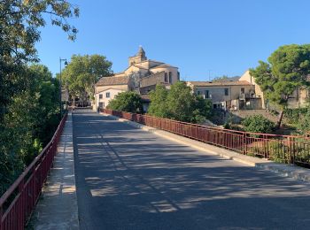 Excursión Senderismo Montpellier - 2023 07 08 chemin du Piémont Pyrénéen (Montpellier -Ballaruc le vieux) - Photo