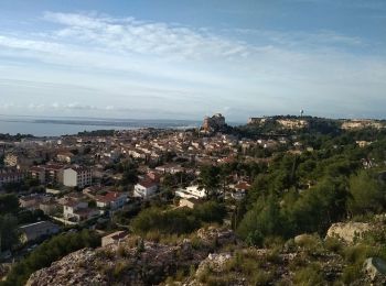 Tocht Stappen Vitrolles - le plateau Vitrolles - Photo