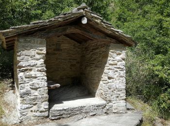 Tocht Te voet Chiusi della Verna - Mulattiera del Granduca - Photo