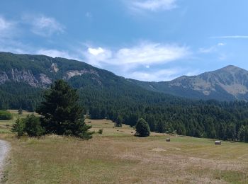 Percorso Marcia Crots - boucle du lac Lauzerot depuis Gendre - Photo