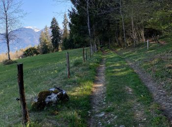 Tour Wandern Miribel-les-Échelles - Circuit panoramique au départ de Miribelle - Photo