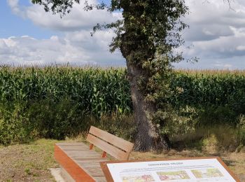 Trail Walking Merksplas - Vossenbergwandeling - Photo