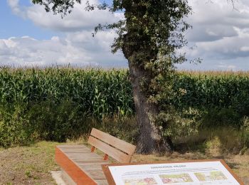 Tour Wandern Merksplas - Vossenbergwandeling - Photo