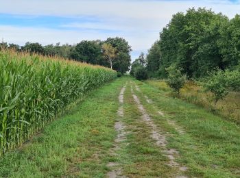 Trail Walking Wuustwezel - Wolfsheuvel Achterbroek - Photo