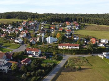 Randonnée A pied Eltmann - Rundweg Eltmann E 5 - Photo