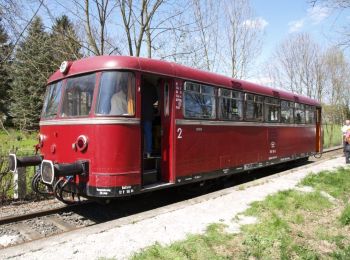 Excursión A pie Brilon - Nehden Rundweg N1 - Photo