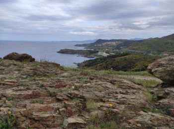 Randonnée Marche Banyuls-sur-Mer - banyuls cap rederis - Photo