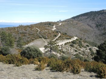 Excursión Senderismo Vaugines - SityTrail - PF-Vaugines - Le Mourre Nègre à partir de Vaugines - Var - Photo