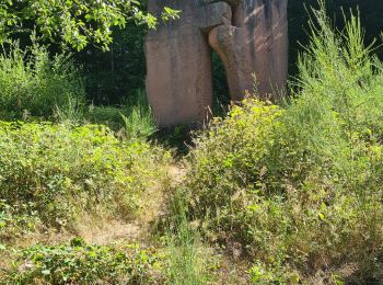 Randonnée Marche Oberhaslach - Hohenstein, Petit et Grand Ringelstein - Photo