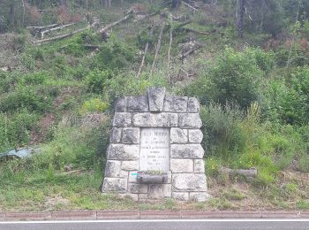 Tour Zu Fuß Teser - Troso dele Spiase - Photo