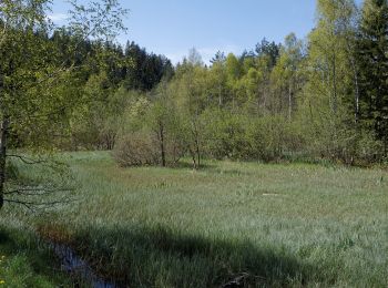 Randonnée A pied Edelschrott - Wanderweg 33 - Photo