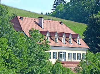 Tocht Te voet Sankt Andrä-Höch - Kitzeck - Demmerkogel Runde - Photo