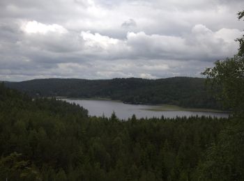 Tour Zu Fuß  - Promenaden - Photo