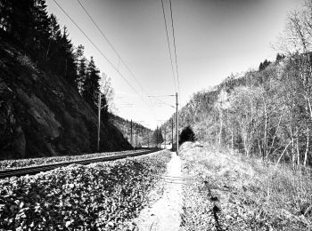 Randonnée A pied Vielsalm - Vielsalm jaune - Photo