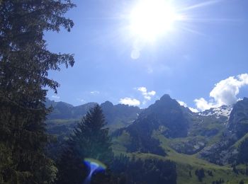 Randonnée V.T.T. Le Grand-Bornand - VTT du Grand Bornand au lac des confin - Photo