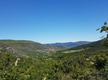 Randonnée Marche Lauroux - Lauroux - Photo