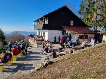 Excursión A pie  - Noršić Selo - Katin krč - Photo