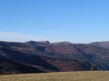 Percorso Marcia Oderen - Entre le Hahnenbrunnen et le Nonselkopf - Photo