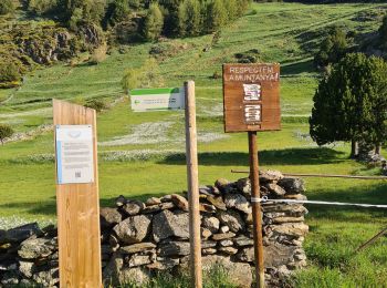 Trail Walking  - val del Riu Reco 2024-06-04 - Photo