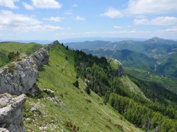 Tour Laufen Manteyer - Trail 07 - Tout Céüze - Photo