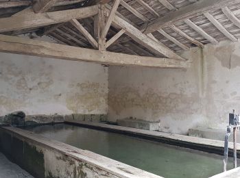 Excursión Senderismo Génicourt-sur-Meuse - GENICOURT SUR MEUSE - Patrimoine et Botanique dans la vallée de la Meuse - Photo
