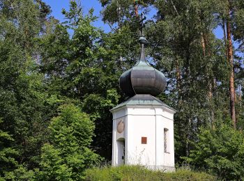 Excursión A pie Gemeinde Zwettl-Niederösterreich - Vabindaweg 57d - Photo