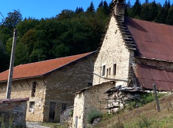 Trail Walking Rencurel - Vallee fossile N1CV - Photo