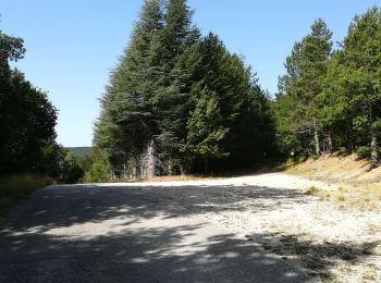 Tocht Stappen Aurel - belvedere les laouses chapelle des anges et abris col de la frache  - Photo