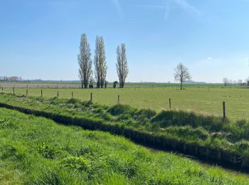 Tocht Stappen Kapelle - Yerseke balade - Photo