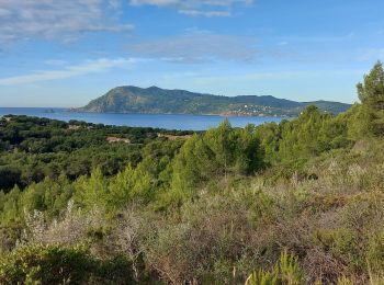 Excursión Senderismo Saint-Mandrier-sur-Mer - Rando douce St Elme Ste Asile - Photo