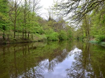 Randonnée A pied Sturzelbronn - Sentier paysager passe-frontière n°4 - Photo