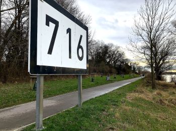 Tour Zu Fuß Dormagen - Zons Rundweg A12 - Photo