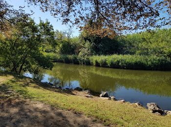 Tocht Mountainbike Pia - Vtt Pia Canet plage - Photo