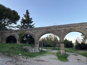 Trail sport Eyguières - Eyguieres les opies - Photo