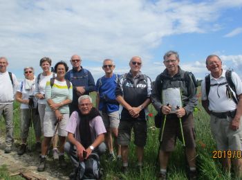 Randonnée Marche Roncherolles-sur-le-Vivier - 20190611 Roncherolles Preaux - Photo