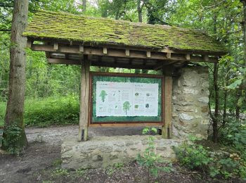 Randonnée Marche Saint-Pierre-du-Perray - Saint-Pierre-du-Perray - Forêt de Rougeau - Photo