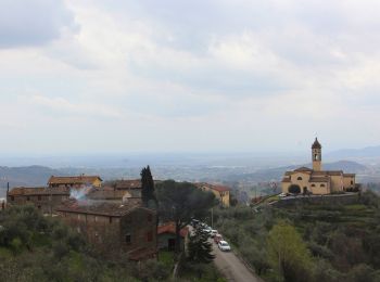 Trail On foot Capannori - Sentiero n.6 