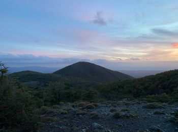 Tour Zu Fuß Castellina Marittima - Sassi Bianchi Trekking - Photo