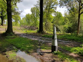 Trail On foot Vaals - Vaals SBB38 - Photo