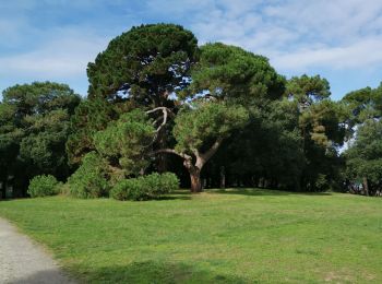 Randonnée Marche Saint-Brevin-les-Pins - St Brevin les pins - Photo