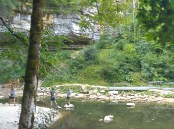 Tocht Mountainbike Le Frasnois - Jura - Boucle des 5 lacs  - Photo