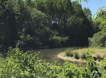 Excursión Senderismo Vallant-Saint-Georges - Boucle entre canal et champs - Photo